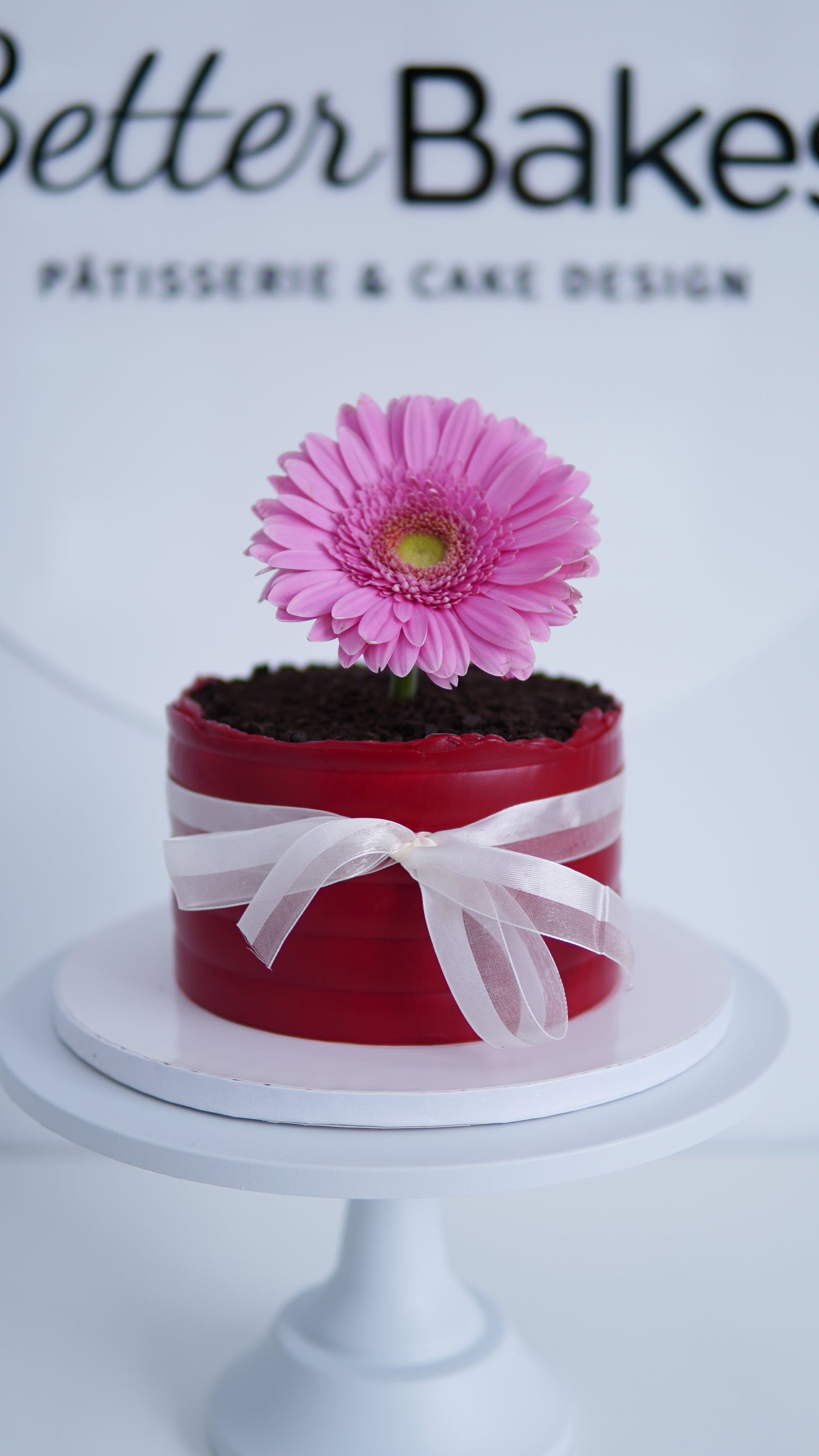 Flower Pot Cake
