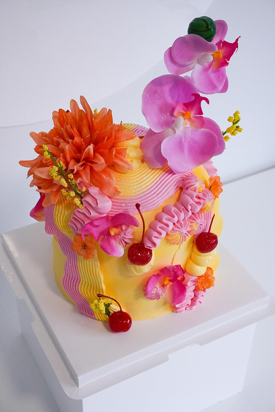 Dome Custom Cakes