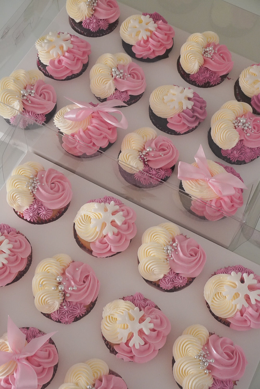 Premium Cupcakes Box