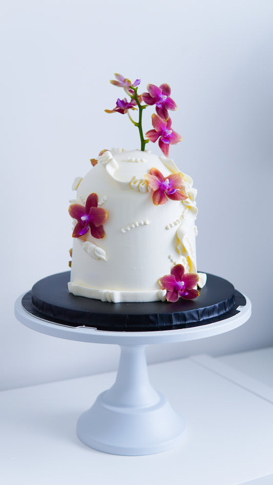 Dome Custom Cakes